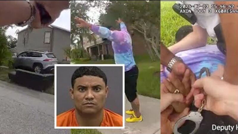 Cubano de Tampa desata persecución policial tras asesinar a su esposa y madre de su hijo (video)